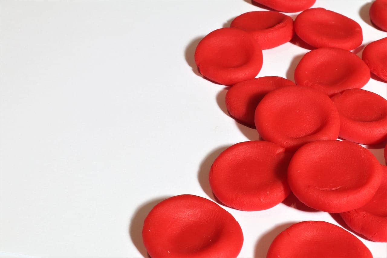 Red Blood Cells On A White Surface